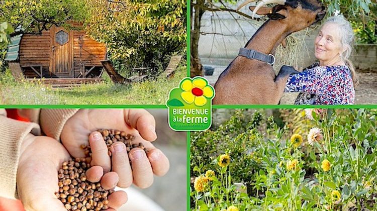 BONS PLANS - 21 fermes en fête en Bigorre et dans les Gers
